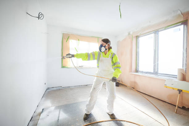 Best Mold Odor Removal Services  in Foley, AL