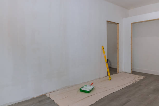 Best Basement Mold Removal  in Foley, AL