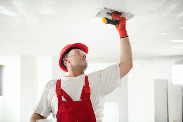 Best Mold Damage Restoration  in Foley, AL